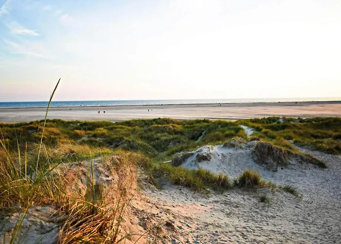 5 Person In Fanø