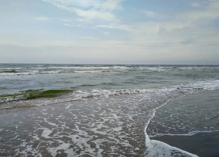 5 Person In Fanø